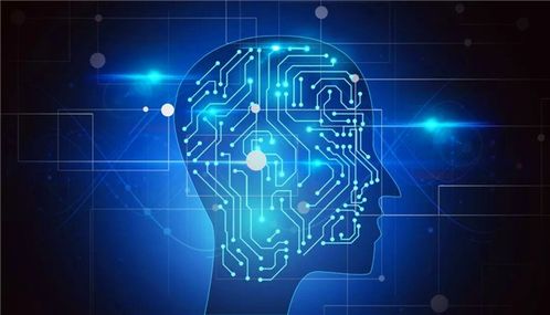 教育部支持七專業 計算機軟件技術開發能否成為熱門？